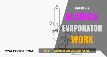 Understanding Alcohol Evaporators: Functionality and Applications Explained
