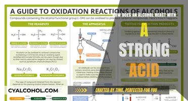 Acid-Alcohol Reaction: What Happens?
