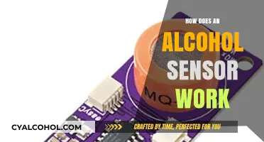 Understanding Alcohol Sensors: How They Detect and Measure Alcohol Levels