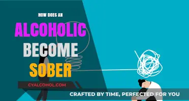 Journey to Sobriety: Steps for Alcoholics to Overcome Addiction