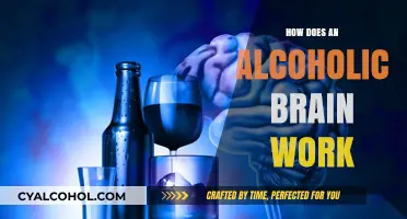 Understanding the Alcoholic Brain: Function, Changes, and Recovery Insights