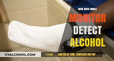 How Ankle Monitors Detect Alcohol: Technology and Accuracy Explained