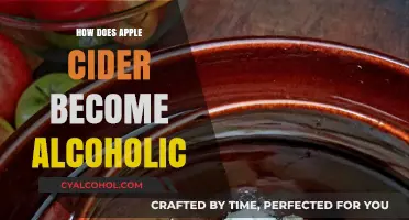 From Cider to Spirits: The Fermentation Journey of Apple Cider