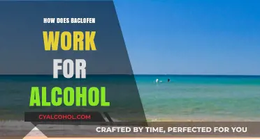 Baclofen's Mechanism: How It Helps Treat Alcohol Addiction Effectively