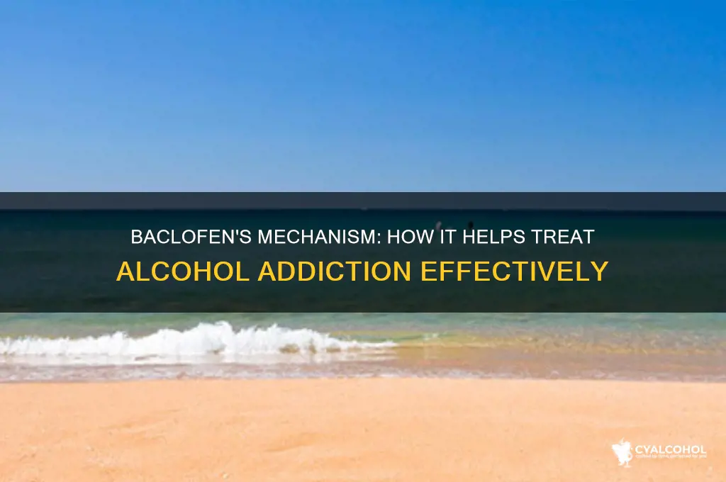 how does baclofen work for alcohol