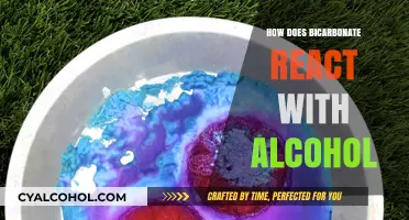 Bicarbonate and Alcohol Reaction: Unveiling the Chemical Interaction Process