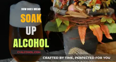 Does Bread Absorb Alcohol? The Science Behind This Party Myth