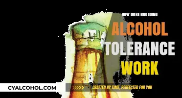 Understanding Alcohol Tolerance: How Your Body Adapts to Regular Drinking