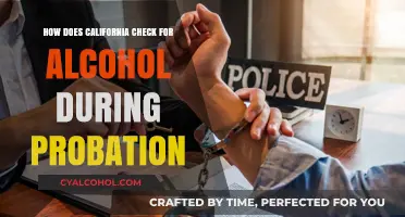 California's Probation Alcohol Monitoring: Methods and Compliance Explained