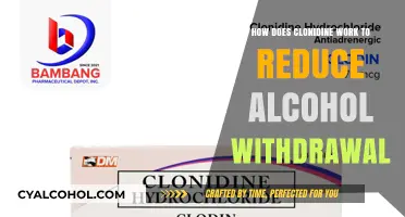 Clonidine's Role in Easing Alcohol Withdrawal Symptoms Explained