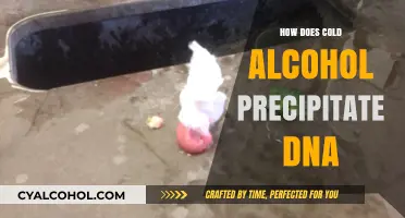 Cold Alcohol Precipitation: A Simple Method to Extract and Purify DNA
