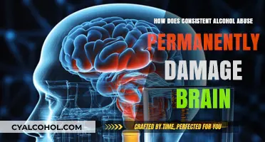 Alcohol's Silent Assault: Permanent Brain Damage from Chronic Abuse