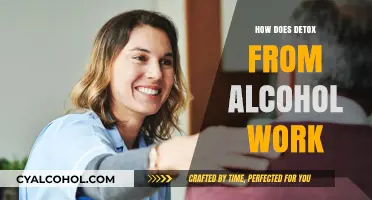 Understanding Alcohol Detox: Process, Benefits, and Safe Recovery Steps