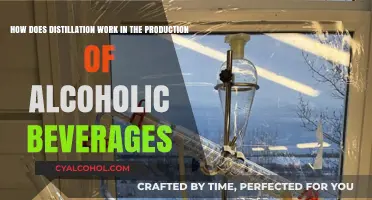 The Art of Distillation: Alcoholic Beverage Production