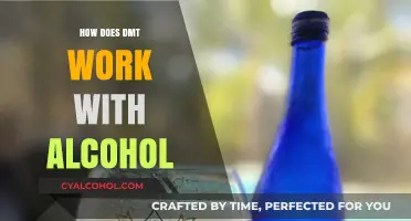 DMT and Alcohol Interaction: Effects, Risks, and Safety Concerns Explained
