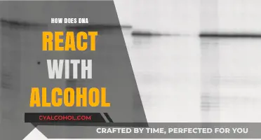 Alcohol's Impact on DNA: Unraveling the Molecular Reactions and Effects