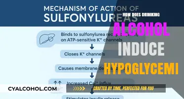 Alcohol's Impact: Understanding How Drinking Triggers Hypoglycemia Episodes