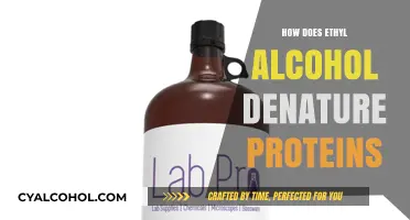 Understanding How Ethyl Alcohol Denatures Proteins: Mechanisms and Effects