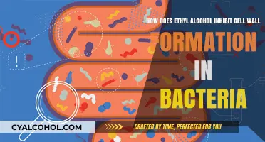 Alcohol's Effect on Bacterial Cell Wall Formation