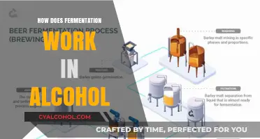 Unveiling Fermentation: The Science Behind Alcohol Production Explained