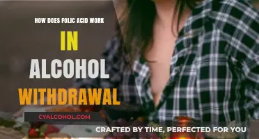 Folic Acid's Role in Easing Alcohol Withdrawal Symptoms Explained