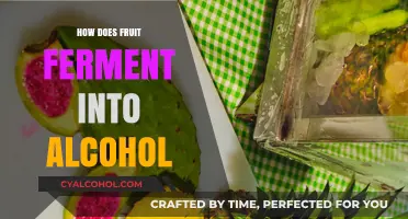 Fruit to Alcohol: The Natural Fermentation Process Explained