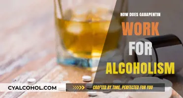 Understanding Gabapentin's Role in Treating Alcoholism: Mechanism and Benefits