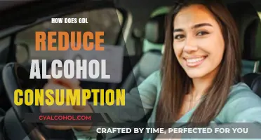 GDL Laws: Effective Strategies to Curb Alcohol Consumption Safely