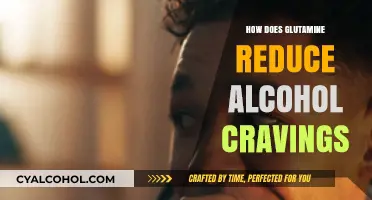 Glutamine's Role in Curbing Alcohol Cravings: A Natural Solution