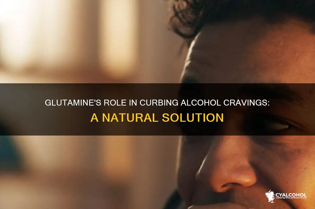 how does glutamine reduce alcohol cravings