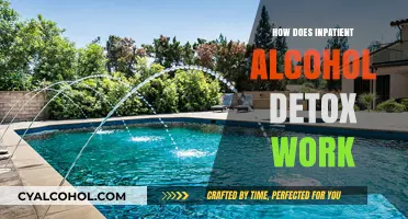 Understanding Inpatient Alcohol Detox: Process, Benefits, and Recovery Steps