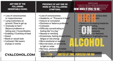 The Buzz of Alcohol: A Sensory Experience