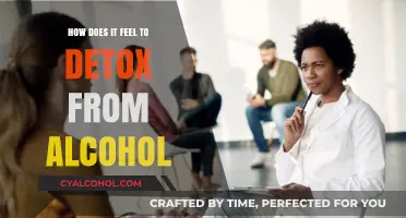 Detoxing from Alcohol: Emotional and Physical Journey to Sobriety
