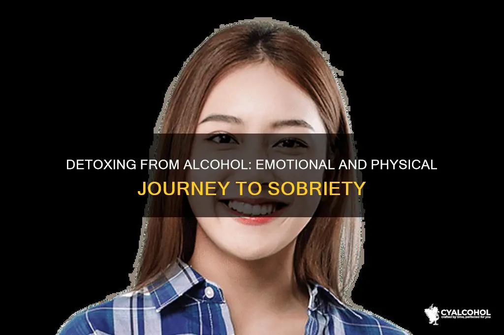 how does it feel to detox from alcohol