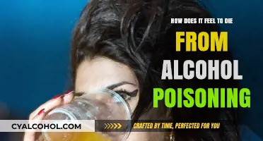 The Fatal Effects of Alcohol Poisoning: A Firsthand Account