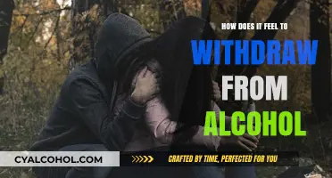 The Emotional and Physical Journey of Alcohol Withdrawal: A Personal Insight