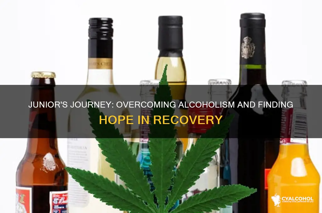 how does junior deal with alcoholism