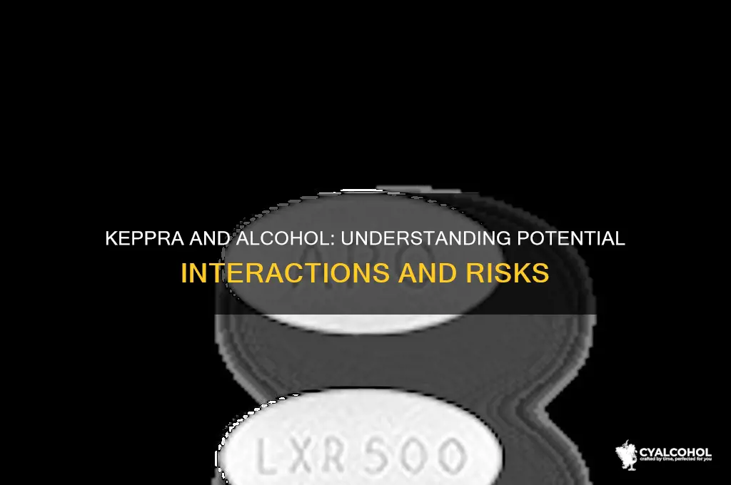 how does keppra interact with alcohol