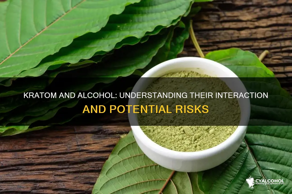 how does kratom and alcohol relate