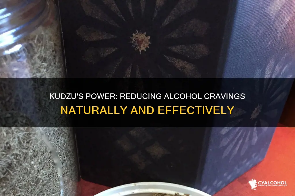how does kudzu reduce alcohol cravings
