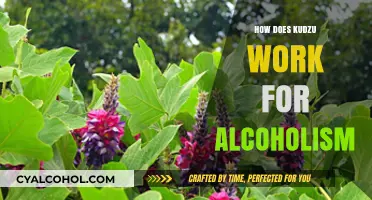 Kudzu's Role in Alcoholism Treatment: Mechanism and Effectiveness Explained
