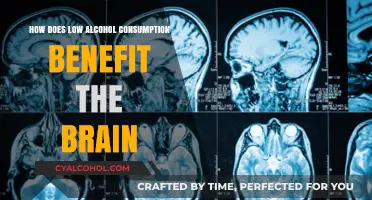 Moderate Drinking: Unlocking Brain Health Benefits and Cognitive Advantages