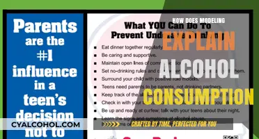 Modeling Alcohol Consumption: Unraveling Patterns, Influences, and Predictive Insights