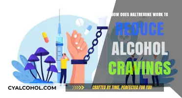 Understanding Naltrexone: How It Reduces Alcohol Cravings Effectively