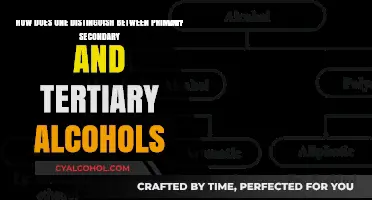 Understanding Alcohol Types: Primary, Secondary, Tertiary
