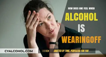 The Sobering Shift: Emotions and Physical Sensations as Alcohol Fades