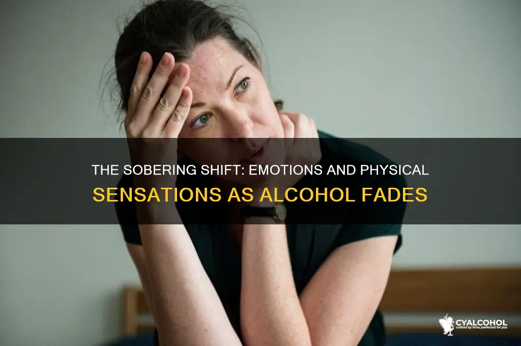 how does one feel when alcohol is wearingoff
