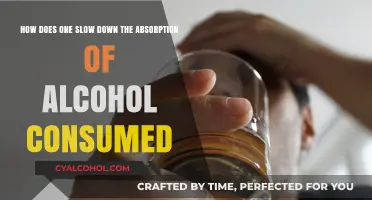 Strategies to Slow Alcohol Absorption in Your System