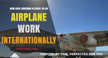 Alcohol on Airplanes: International Ordering Guide