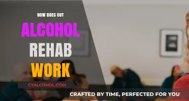 Understanding Alcohol Rehab: A Comprehensive Guide to Recovery Programs